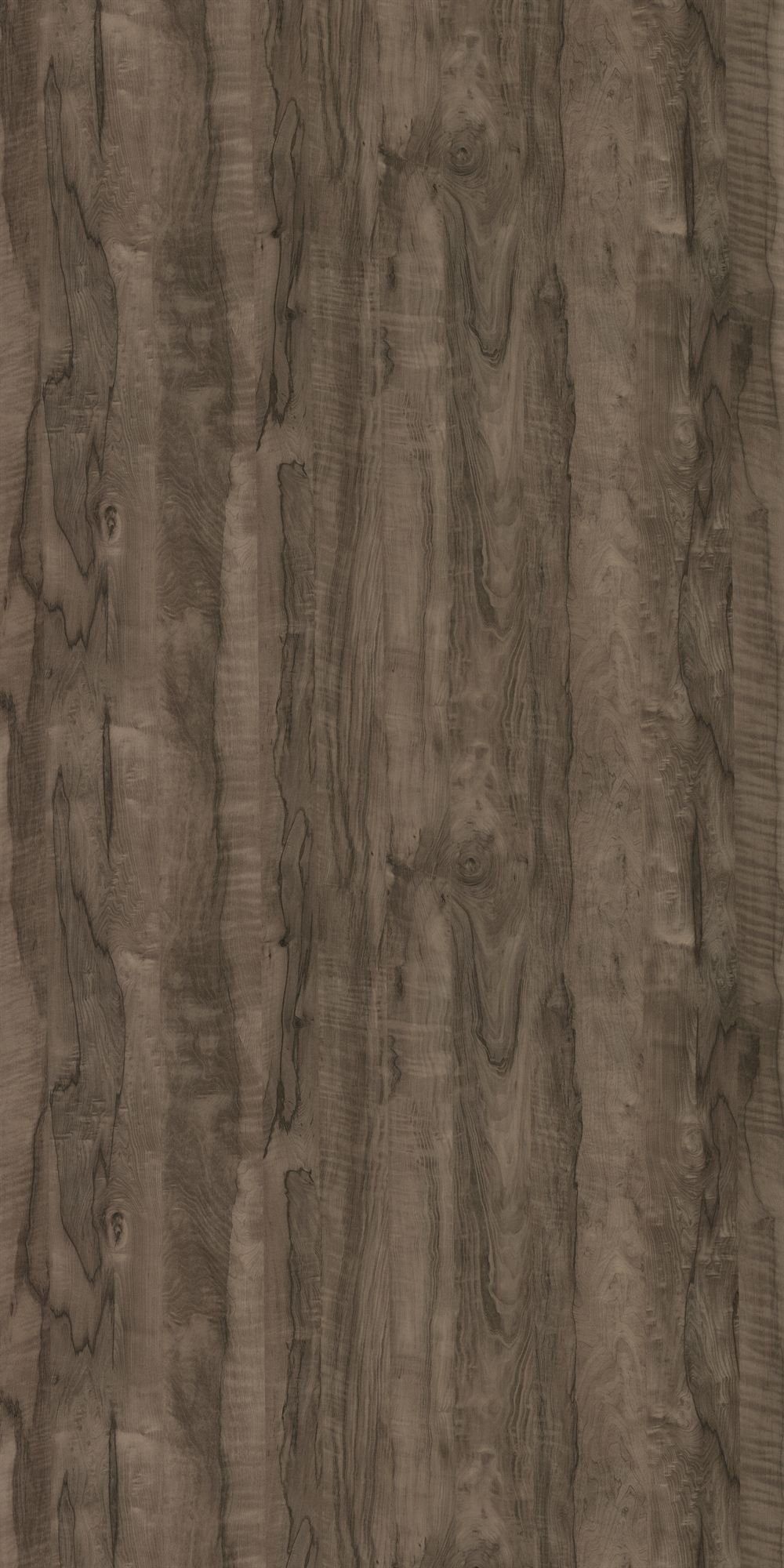 GC-1045 Coachwood Dark