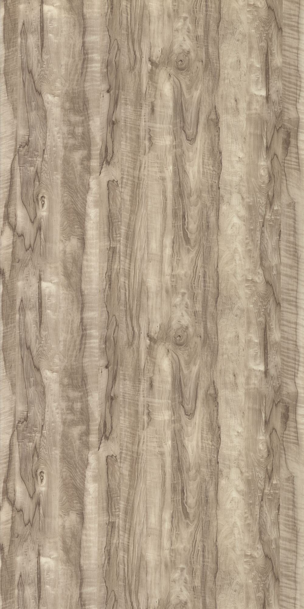 GC-1046 Coachwood Light