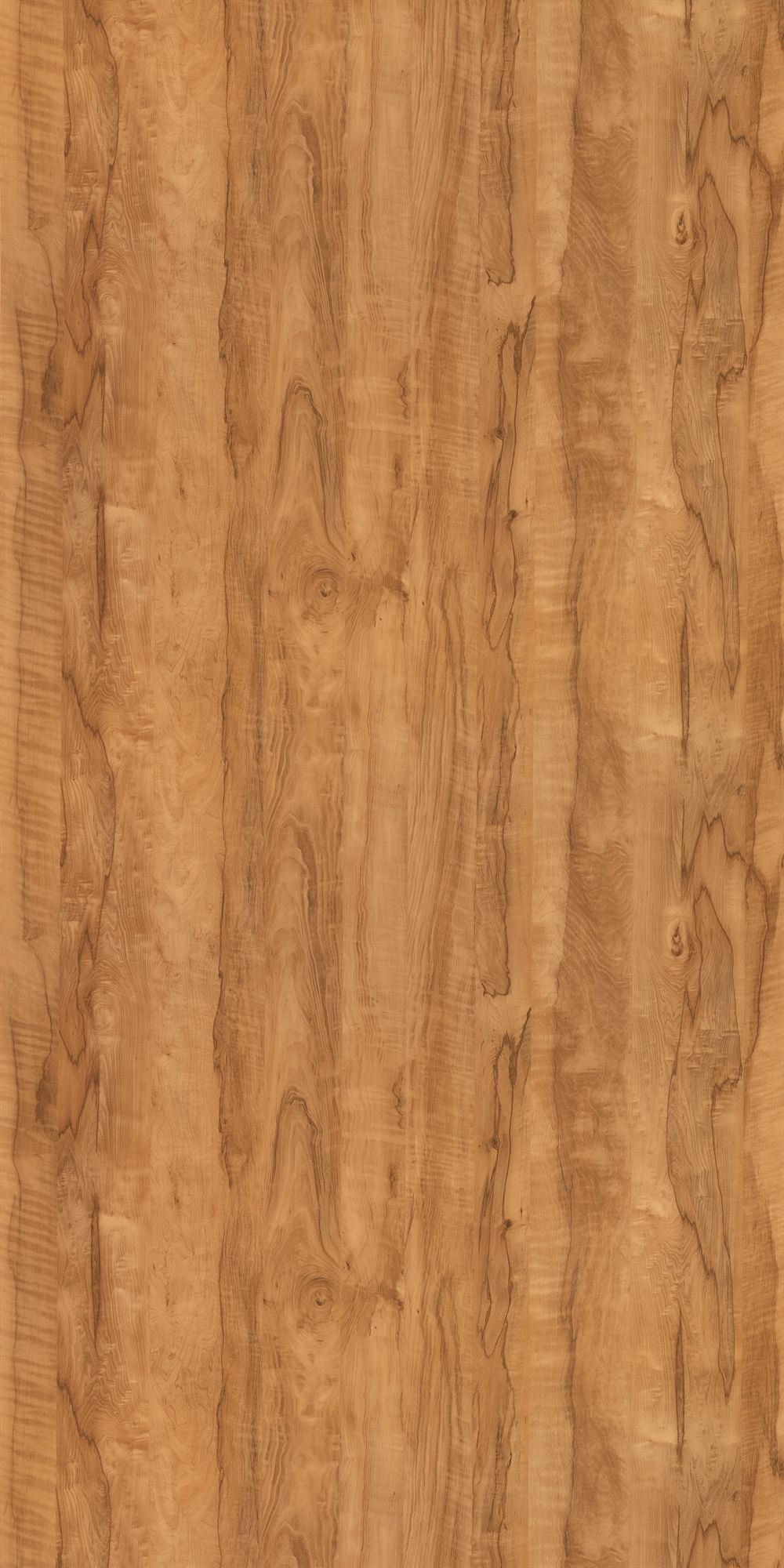 GC-1047 Coachwood Cream