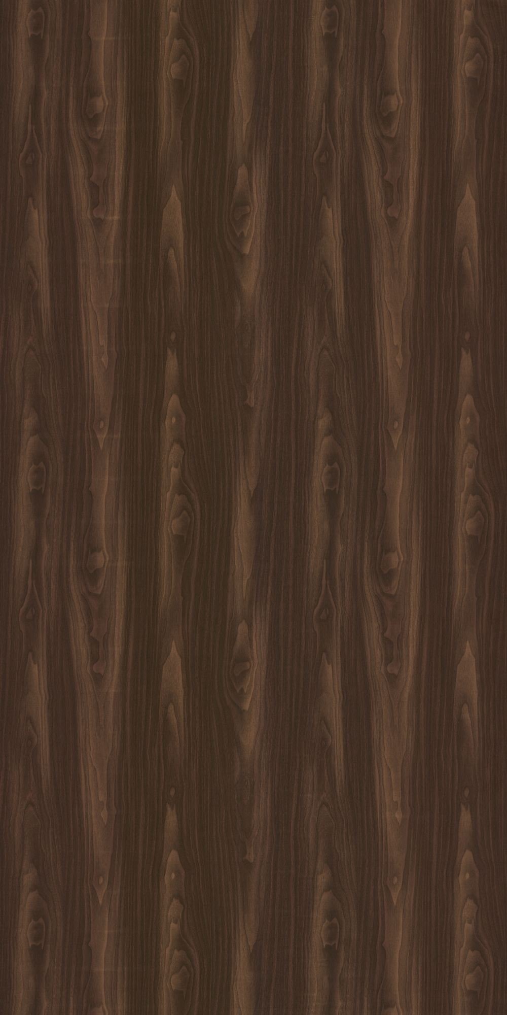 GC1093__Golden Walnut