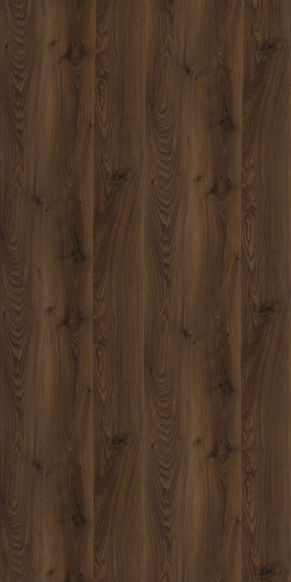 GC2003__Hickory Oak